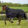 Gallop Trojan Dual Lightweight Turnout Rug And Neck Set 2 Gallop Trojan Dual Lightweight Turnout Rug And Neck Set -Exquisite Equestrian Equipment Store 4 780 square 1 5 jpg