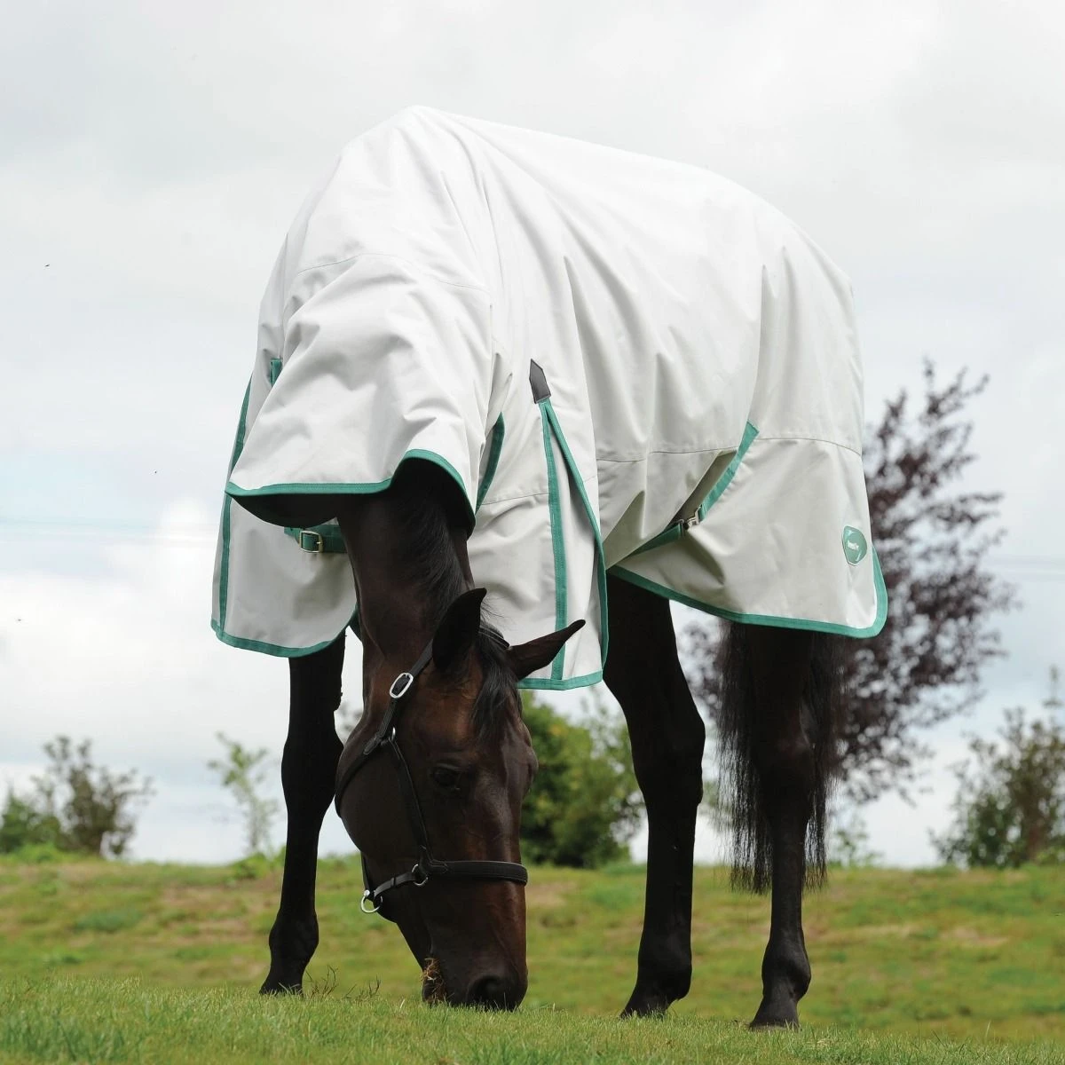 WeatherBeeta Green-Tec 900D Combo Neck Lite Plus Turnout Rug 16 WeatherBeeta Green-Tec 900D Combo Neck Lite Plus Turnout Rug - Image 14