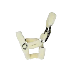 Kentucky Horsewear Kentucky Sheepskin Shipping Halter -Exquisite Equestrian Equipment Store 42502 02 a929523bbdd099ba1a676b6771a9e673 article photobook m 2 png