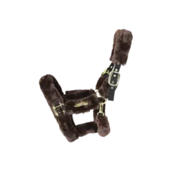 Kentucky Horsewear Kentucky Sheepskin Shipping Halter -Exquisite Equestrian Equipment Store 42502 05 a929523bbdd099ba1a676b6771a9e673 article photobook m png