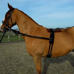 Rhinegold Training/ Breaking Set -Exquisite Equestrian Equipment Store 460a web 1 1 jpg