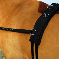 Rhinegold Training/ Breaking Set -Exquisite Equestrian Equipment Store 460c web 2 2 jpg