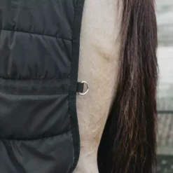 Kentucky Horsewear Kentucky Under Rug Skin Friendly 150g -Exquisite Equestrian Equipment Store 485a0069 e8502ded370e565d04389cf2c54c4715 article photobook crop 1 png