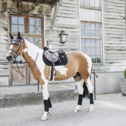 Kentucky Horsewear Kentucky Wellington Velvet Pearls Fly Veil -Exquisite Equestrian Equipment Store 485a2333 a929523bbdd099ba1a676b6771a9e673 article photobook m 1 png