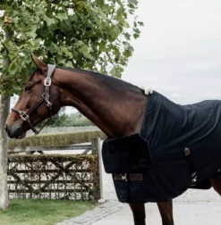 Kentucky Horsewear Kentucky Horse Bib Chest Protection -Exquisite Equestrian Equipment Store 485a2527 1 jpg