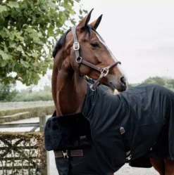 Kentucky Horsewear Kentucky Horse Bib Chest Protection -Exquisite Equestrian Equipment Store 485a2532 1 jpg