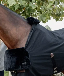 Kentucky Horsewear Kentucky Horse Bib Chest Protection -Exquisite Equestrian Equipment Store 485a2552 1 jpg