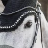 Kentucky Horsewear Kentucky Fly Veil Wellington Big Stone & Pearl 2 Kentucky Horsewear Kentucky Fly Veil Wellington Big Stone & Pearl -Exquisite Equestrian Equipment Store 485a3681 a929523bbdd099ba1a676b6771a9e673 article photobook m 1 png
