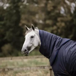 Kentucky Horsewear Kentucky Hurricane Rug Neck 150g 24 Kentucky Horsewear Kentucky Hurricane Rug Neck 150g -Exquisite Equestrian Equipment Store 485a6079 a929523bbdd099ba1a676b6771a9e673 article photobook m 1 2 png
