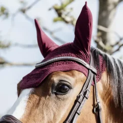 Kentucky Horsewear Kentucky Wellington Fly Veil -Exquisite Equestrian Equipment Store 485a6841 e8502ded370e565d04389cf2c54c4715 article photobook crop 1 png