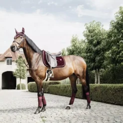 Kentucky Horsewear Kentucky Polar Fleece Bandage - 4 Pack 35 Kentucky Horsewear Kentucky Polar Fleece Bandage - 4 Pack -Exquisite Equestrian Equipment Store 485a9151 564c22e810080218547dfa1c1093aa08 article photobook l 1 jpg