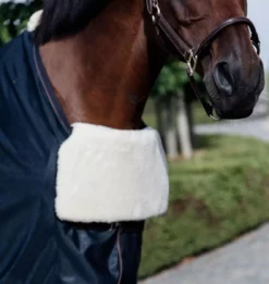 Kentucky Horsewear Kentucky Horse Bib Chest Protection -Exquisite Equestrian Equipment Store 485a9527 1 jpg