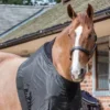 LeMieux Anti Rub Bib -Exquisite Equestrian Equipment Store 49db5a71bd4c07adb6ef5dca616d512a.image .366x550 2 jpg