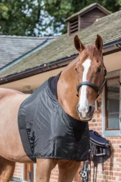 LeMieux Anti Rub Bib 13 LeMieux Anti Rub Bib -Exquisite Equestrian Equipment Store 49db5a71bd4c07adb6ef5dca616d512a.image .366x550 3 jpg