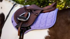 LeMieux Carbon Mesh Close Contact Square -Exquisite Equestrian Equipment Store 4d9a6549 copy 1 jpg