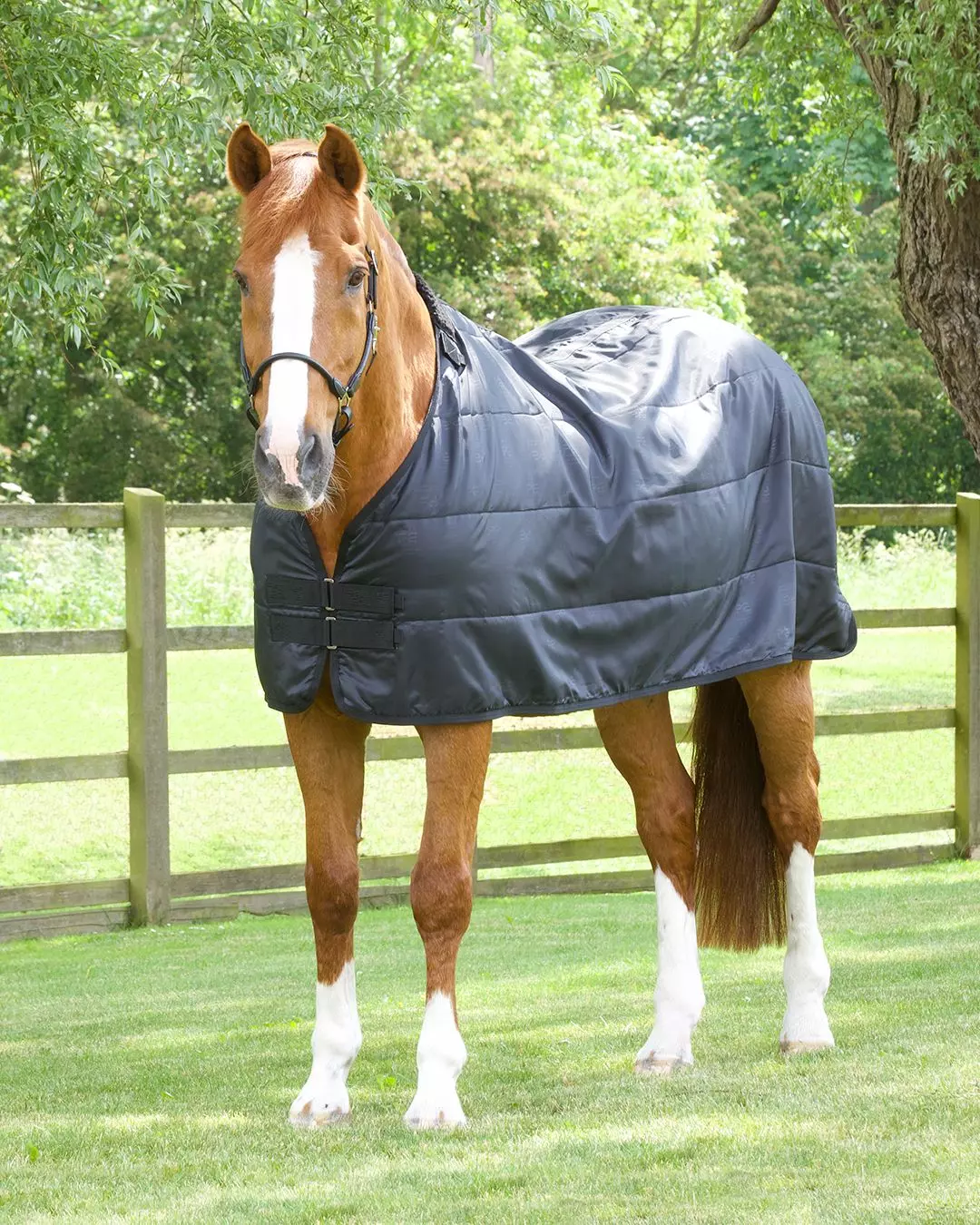 Premier Equine 50g Horse Rug Liner 19 Premier Equine 50g Horse Rug Liner - Image 17
