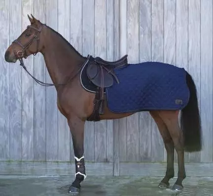 Kentucky Horsewear Kentucky Quarter Rug 160g 3 Kentucky Horsewear Kentucky Quarter Rug 160g