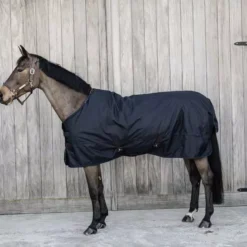 Kentucky Horsewear Kentucky Turnout Rug All Weather Waterproof Classic 0g -Exquisite Equestrian Equipment Store 52152 03 e8502ded370e565d04389cf2c54c4715 article photobook crop 1 6 jpg