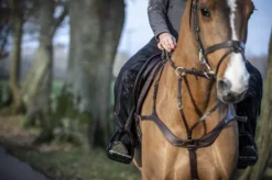 LeMieux DryTex Stormwear Waterproof Chaps -Exquisite Equestrian Equipment Store 56d2aa2aae913fc5118cf5587e8980c0.image .750x499 3 jpg