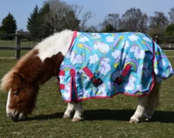 Rhinegold Unicorn Mini Torrent Outdoor Rug -Exquisite Equestrian Equipment Store 589 3 web 1 2 1 jpg