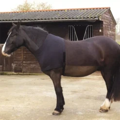 Rhinegold Satin Lycra Stretch Vest -Exquisite Equestrian Equipment Store 606 1 2 jpg