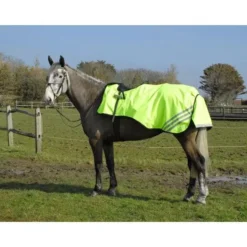 Rhinegold 3/4 Length Cutaway Design Waterproof Ride-On Rug 8 Rhinegold 3/4 Length Cutaway Design Waterproof Ride-On Rug -Exquisite Equestrian Equipment Store 611 yellowwebsite 3 jpg