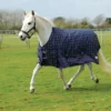 Rhinegold Zeus Heavyweight Turnout Rug -Exquisite Equestrian Equipment Store 615 rhinegold zeus rug web 9 jpg