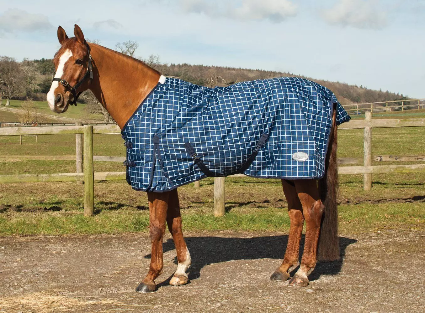 Rhinegold Atlanta Fleece Lined Lightweight Turnout Rug 9 Rhinegold Atlanta Fleece Lined Lightweight Turnout Rug - Image 7