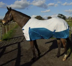 Rhinegold Helena Air Summer Sheet -Exquisite Equestrian Equipment Store 683 sized 1 8 jpg