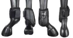 Mark Todd Air Vent Fetlock Boots -Exquisite Equestrian Equipment Store 71de6284 dca5 4744 a9b5 0e57d19380af 1 2