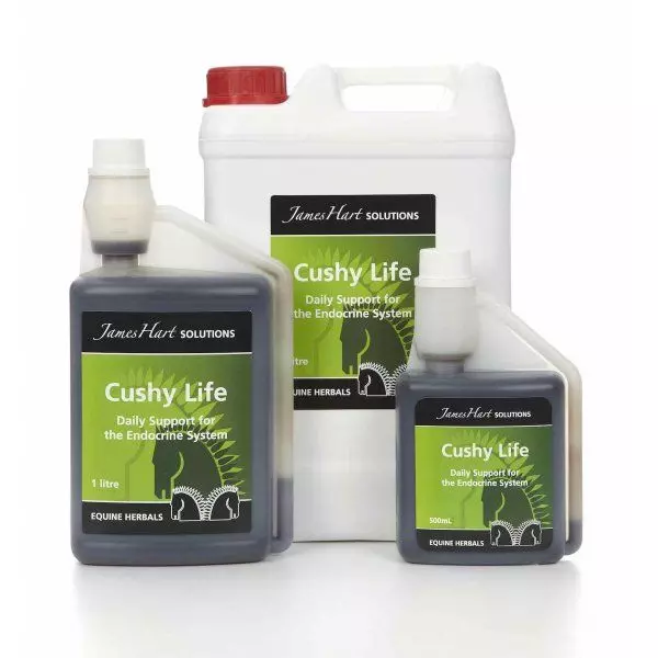 James Hart Cushy Life 3 James Hart Cushy Life