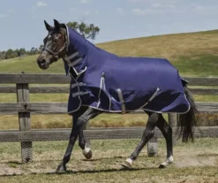 WeatherBeeta ComFiTec Essential Lite Plus 50g Combo Neck 32 WeatherBeeta ComFiTec Essential Lite Plus 50g Combo Neck -Exquisite Equestrian Equipment Store 801373 lr1 3 11 jpg