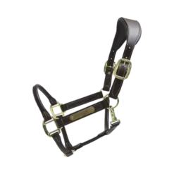 Kentucky Horsewear Anatomic Leather Halter -Exquisite Equestrian Equipment Store a e8502ded370e565d04389cf2c54c4715 article photobook crop 1 png