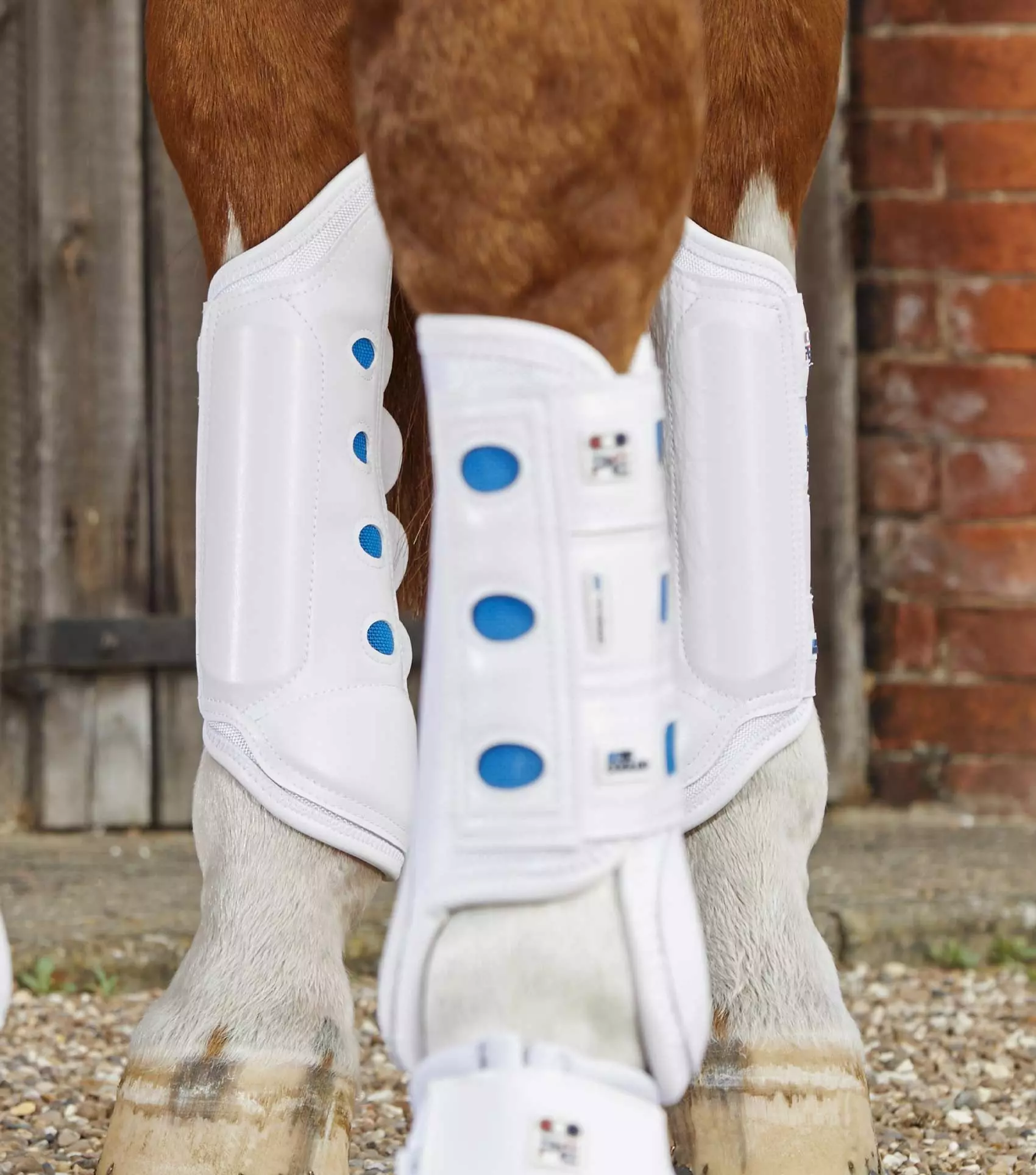 Premier Equine Air Cooled Original Eventing Boots 10 Premier Equine Air Cooled Original Eventing Boots - Image 8
