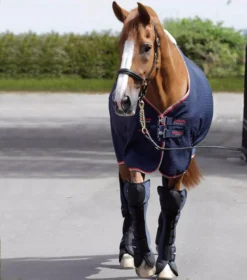 Premier Equine Airtechnology Knee Pro-Tech Horse Travel Boots 41 Premier Equine Airtechnology Knee Pro-Tech Horse Travel Boots -Exquisite Equestrian Equipment Store airtechnology knee pro tech travel boots navy 2 1 2 jpg