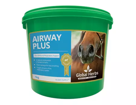Global Herbs Airway Plus Powder 4 Global Herbs Airway Plus Powder - Image 2