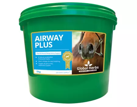 Global Herbs Airway Plus Powder 3 Global Herbs Airway Plus Powder