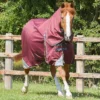 Premier Equine Akoni 0g Turnout Rug With Classic Neck Cover