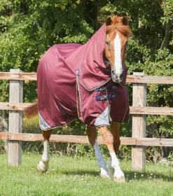 Premier Equine Akoni 0g Turnout Rug With Classic Neck Cover