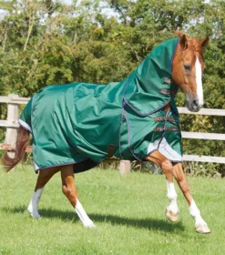 Premier Equine Akoni 0g Turnout Rug With Classic Neck Cover -Exquisite Equestrian Equipment Store akoni stratus 0g green 1 3 jpg