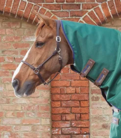 Premier Equine Akoni 0g Turnout Rug With Classic Neck Cover -Exquisite Equestrian Equipment Store akoni stratus 0g green 2 9 jpg