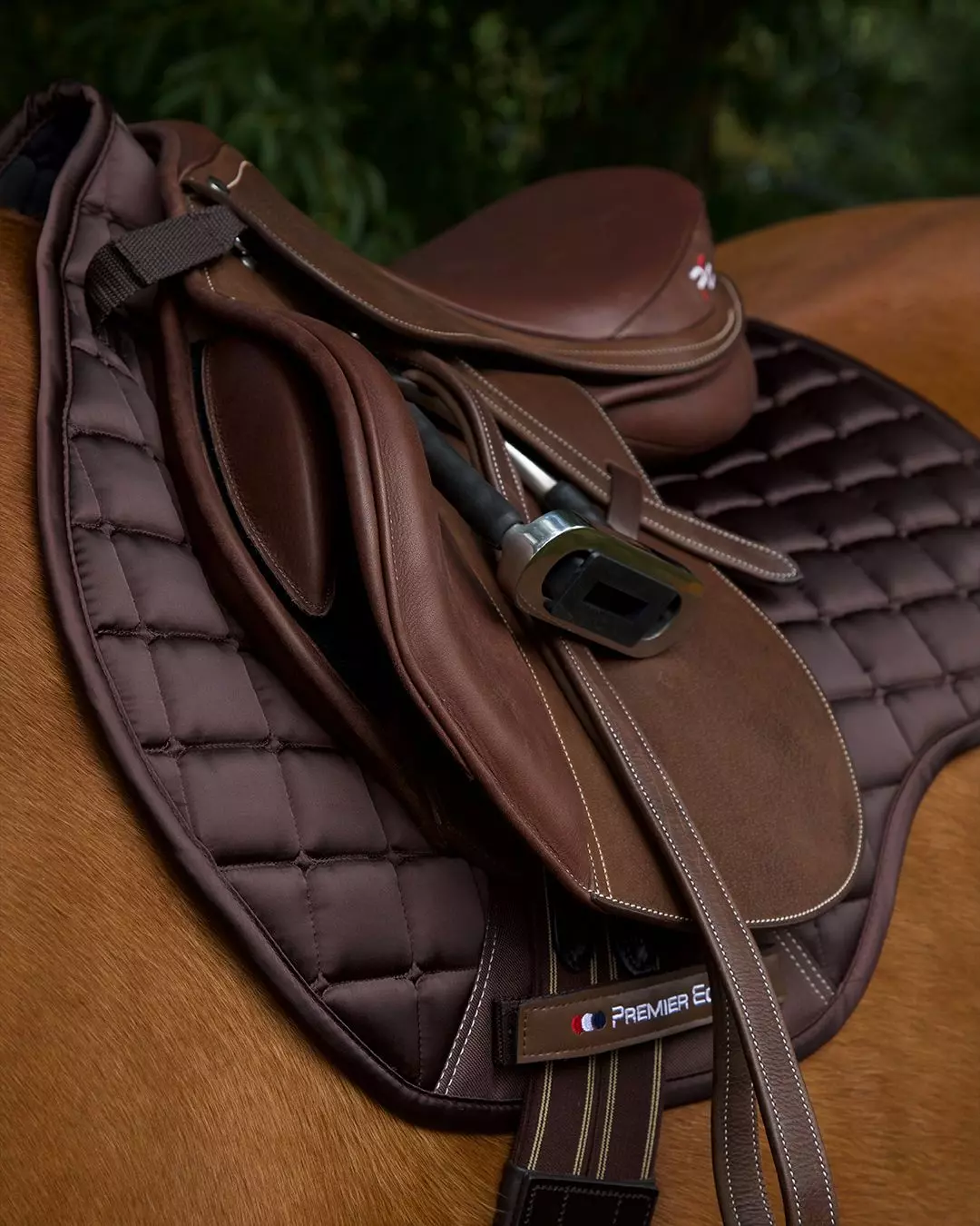 Premier Equine Alberta CC Satin GP/Jump Square 9 Premier Equine Alberta CC Satin GP/Jump Square - Image 7