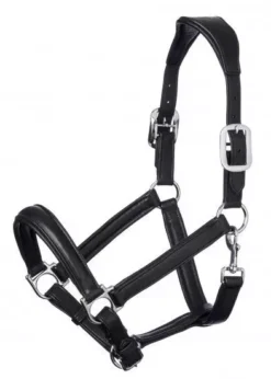 LeMieux Anatomic Leather Headcollar - Black