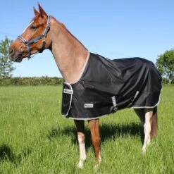 Bucas Anniversary Turnout 200g Silk Feel Lining -Exquisite Equestrian Equipment Store anniversary turnout 2054 10 1 10 2