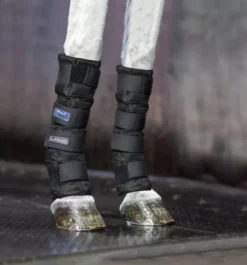 LeMieux Arctic Ice Boots (Pair) -Exquisite Equestrian Equipment Store arctic ice boots bk 1 1 jpg