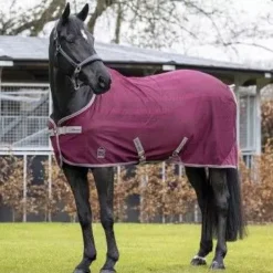 LeMieux Arika Air-Tek Sheet -Exquisite Equestrian Equipment Store arika air tek sheet burgundy 1 2 2 jpg