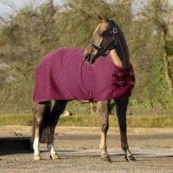 LeMieux Arika Clima-Tek Rug 33 LeMieux Arika Clima-Tek Rug -Exquisite Equestrian Equipment Store arika clima tek rug burgundy 1 1 jpg