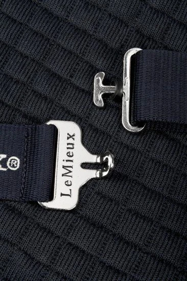 LeMieux Arika Clima-Tek Rug 5 LeMieux Arika Clima-Tek Rug - Image 3