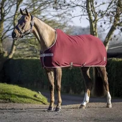 LeMieux Arika Jersey-Tek Rug 15 LeMieux Arika Jersey-Tek Rug - Image 13