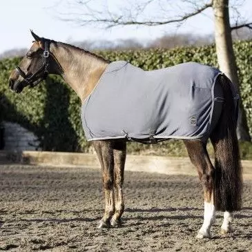 LeMieux Arika Jersey-Tek Rug 18 LeMieux Arika Jersey-Tek Rug - Image 16